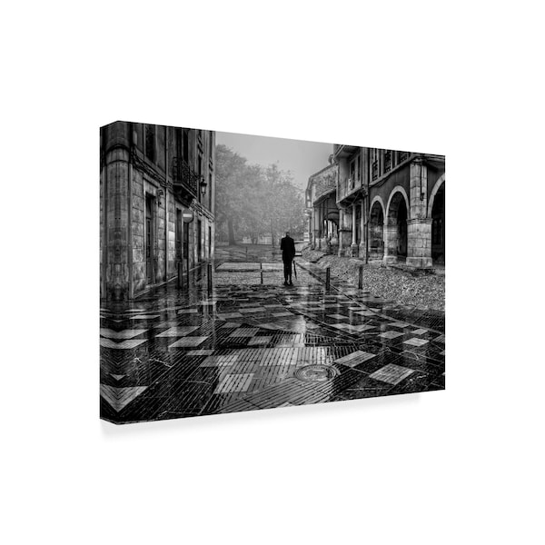 Jose C Lobato 'A Walk After The Rain' Canvas Art,16x24